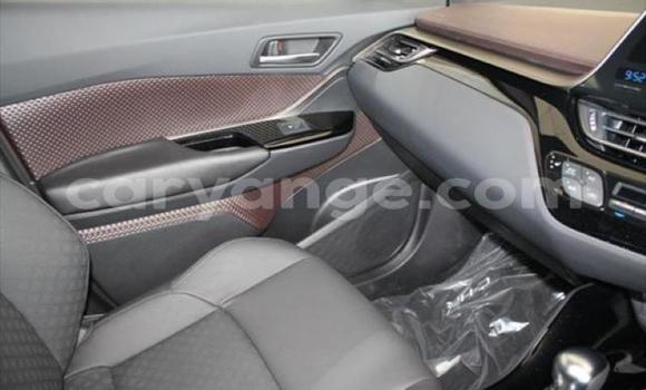 Buy Used Toyota C-HR Red Car in Swakopmund in Namibia Buy Used Toyota C-HR Red Car in Swakopmund in Namibia