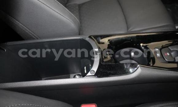 Buy Used Toyota C-HR Red Car in Swakopmund in Namibia Buy Used Toyota C-HR Red Car in Swakopmund in Namibia