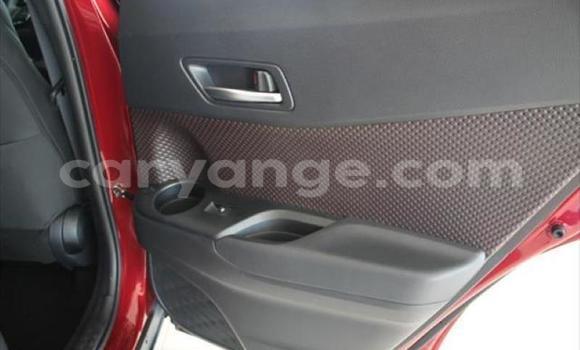 Buy Used Toyota C-HR Red Car in Swakopmund in Namibia Buy Used Toyota C-HR Red Car in Swakopmund in Namibia