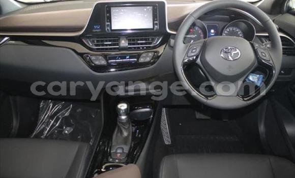 Buy Used Toyota C-HR Red Car in Swakopmund in Namibia Buy Used Toyota C-HR Red Car in Swakopmund in Namibia