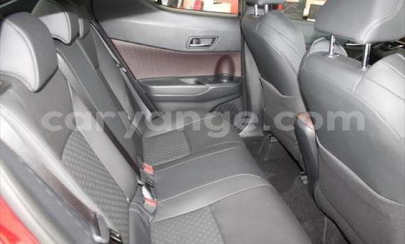 Buy Used Toyota C-HR Red Car in Swakopmund in Namibia Buy Used Toyota C-HR Red Car in Swakopmund in Namibia