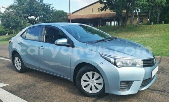 Buy Used Toyota Corolla Blue Car in Oshakati in Namibia Buy Used Toyota Corolla Blue Car in Oshakati in Namibia