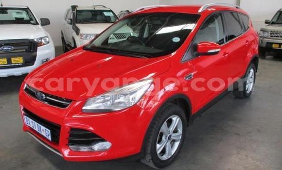 Buy Used Ford Kuga Red Car in Windhoek in Namibia Buy Used Ford Kuga Red Car in Windhoek in Namibia
