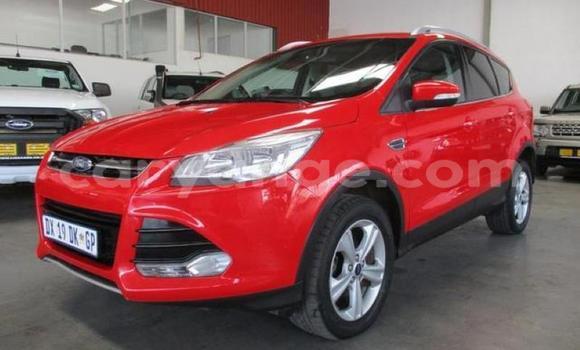 Buy Used Ford Kuga Red Car in Windhoek in Namibia Buy Used Ford Kuga Red Car in Windhoek in Namibia