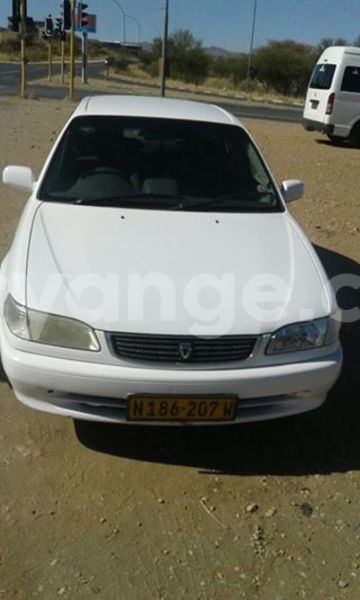 Big with watermark 14695326 1276538865723864 3907257530309395993 n