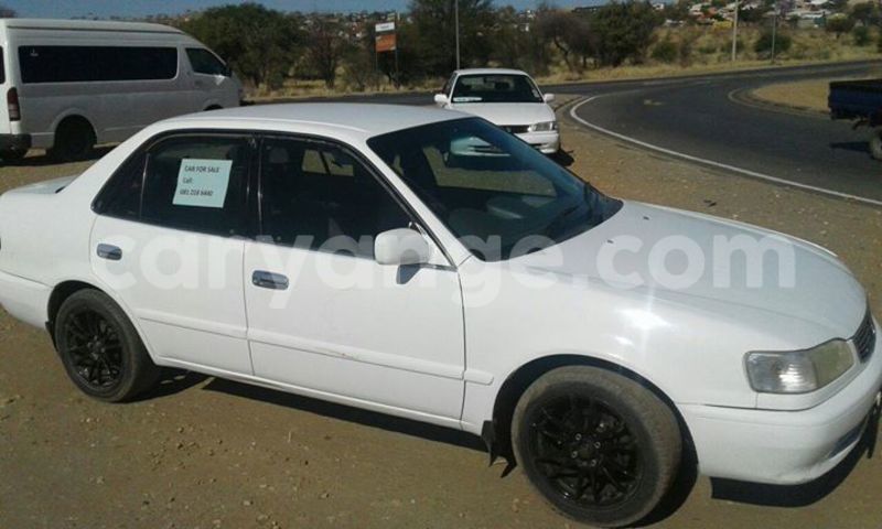 Big with watermark 14572839 1276538899057194 7605807282165903254 n