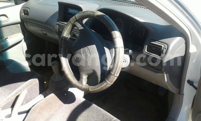 Big with watermark 14937420 10210899464142563 5142262507148257599 n