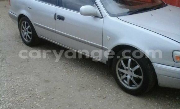 Buy Used Toyota Corolla Silver Car in Windhoek in Namibia