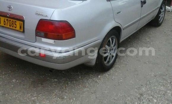 Buy Used Toyota Corolla Silver Car in Windhoek in Namibia Buy Used Toyota Corolla Silver Car in Windhoek in Namibia