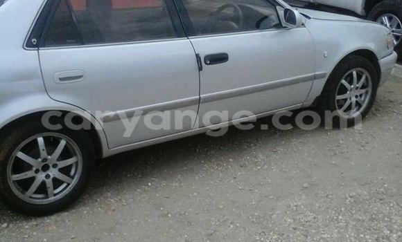 Buy Used Toyota Corolla Silver Car in Windhoek in Namibia Buy Used Toyota Corolla Silver Car in Windhoek in Namibia
