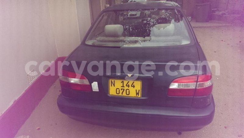 Big with watermark 14572839 1276538899057194 7605807282165903254 n