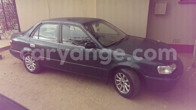 Big with watermark 14695326 1276538865723864 3907257530309395993 n