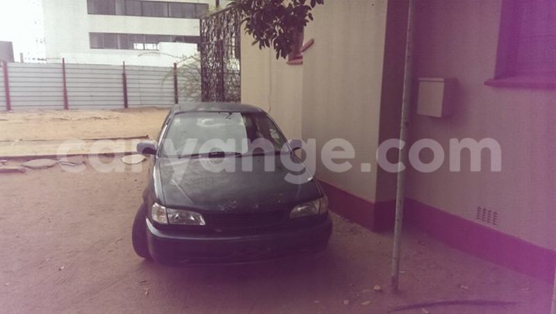 Big with watermark 14937420 10210899464142563 5142262507148257599 n