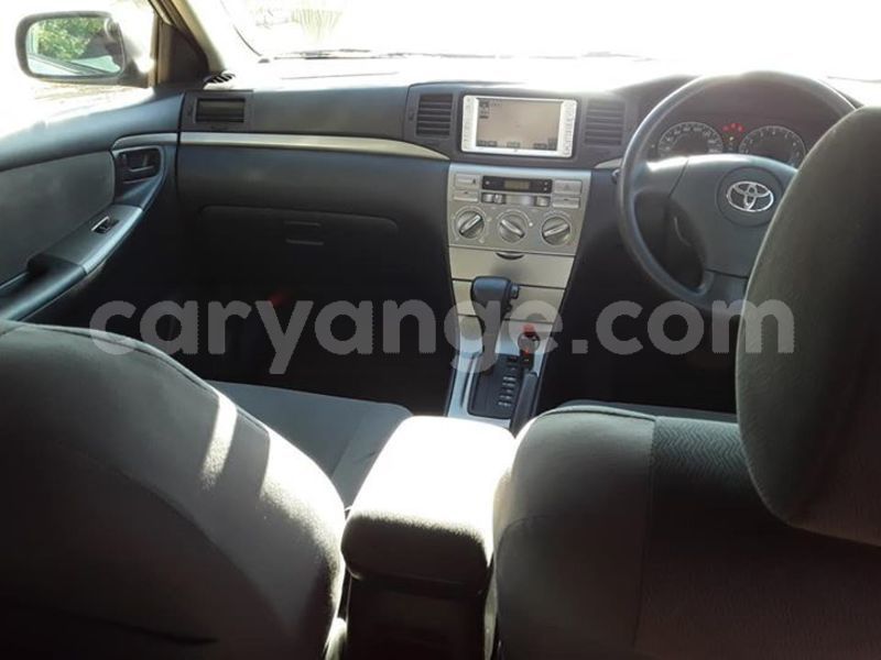 Big with watermark 61596160 2466766970041606 744834929279369216 n