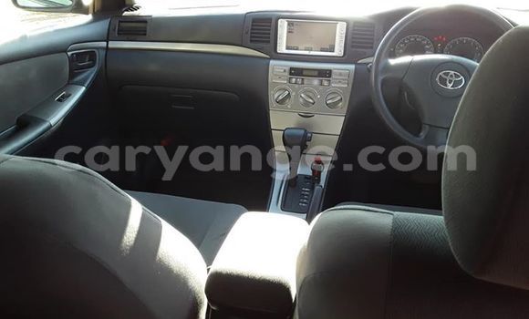 Acheter Occasion Voiture Toyota Runx Gris à Windhoek, Namibie Acheter Occasion Voiture Toyota Runx Gris à Windhoek, Namibie