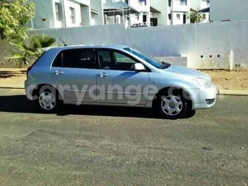 Big with watermark 62046629 2466766796708290 6568563196834086912 n