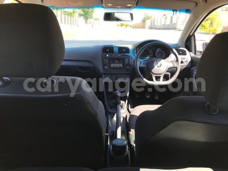 Big with watermark 62405450 315788616019441 1803285024733134848 n