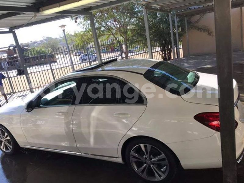 Big with watermark 61862697 316125952652374 3634047708332818432 n