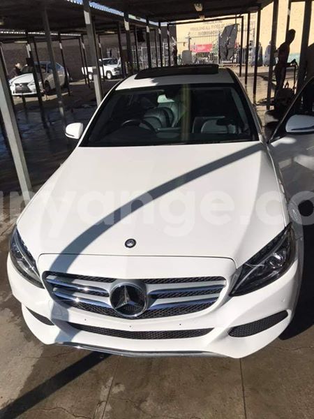 Big with watermark 61888694 316125869319049 3429418995151798272 n