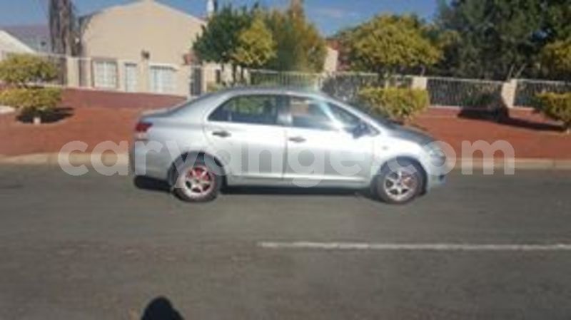 Big with watermark 61776786 315779639353672 376572875563335680 n