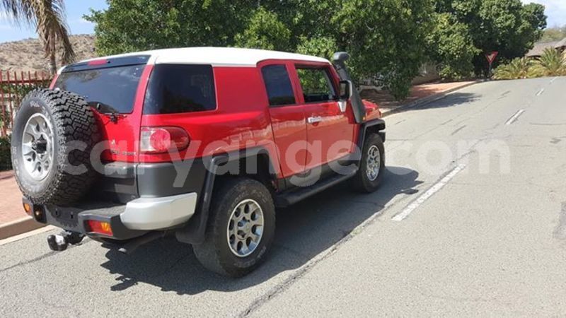 Big with watermark 61432207 313112819620354 3594301024413679616 n