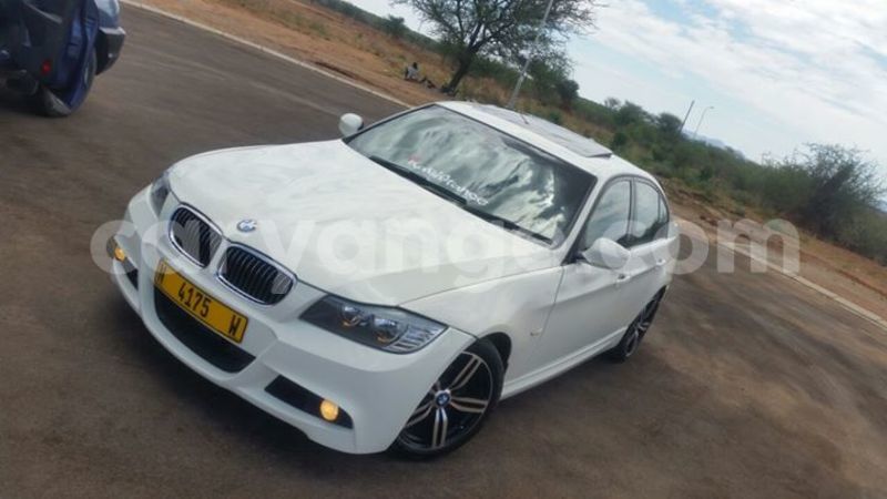 Big with watermark 14572839 1276538899057194 7605807282165903254 n