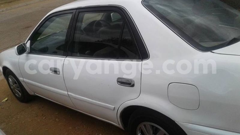 Big with watermark 14937420 10210899464142563 5142262507148257599 n