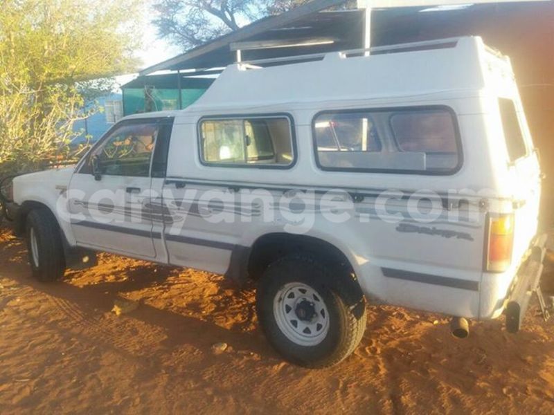 Big with watermark 14572839 1276538899057194 7605807282165903254 n