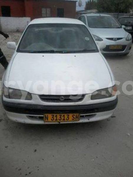 Big with watermark 14695326 1276538865723864 3907257530309395993 n