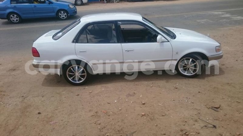 Big with watermark 14695326 1276538865723864 3907257530309395993 n