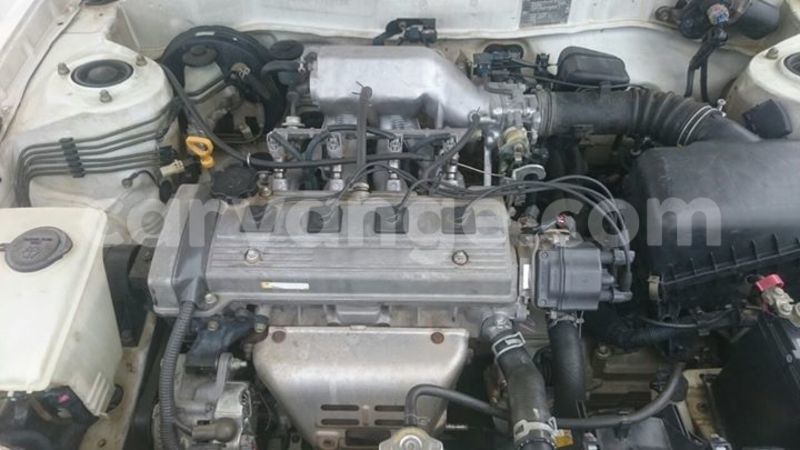 Big with watermark 14937420 10210899464142563 5142262507148257599 n