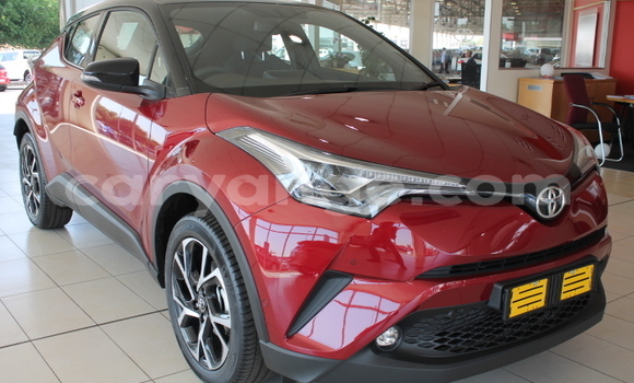 Buy Used Toyota C-HR Red Car in Gobabis in Omaheke Buy Used Toyota C-HR Red Car in Gobabis in Omaheke