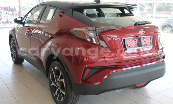 Buy Used Toyota C-HR Red Car in Gobabis in Omaheke Buy Used Toyota C-HR Red Car in Gobabis in Omaheke