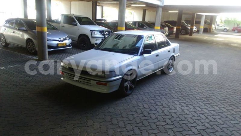 Big with watermark 14937420 10210899464142563 5142262507148257599 n