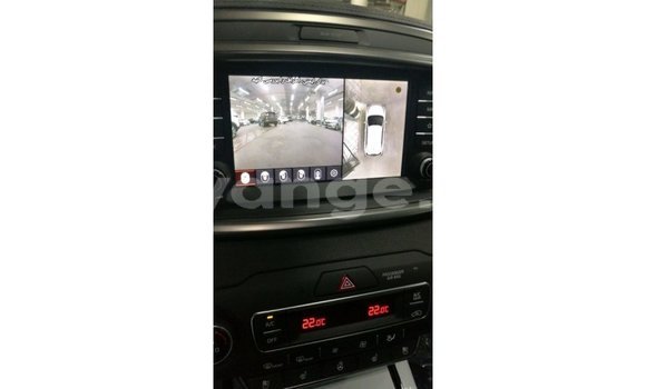 Buy Import Kia Sorento Brown Car in Import - Dubai in Namibia Buy Import Kia Sorento Brown Car in Import - Dubai in Namibia