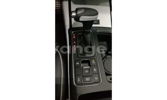Buy Import Kia Sorento Brown Car in Import - Dubai in Namibia Buy Import Kia Sorento Brown Car in Import - Dubai in Namibia