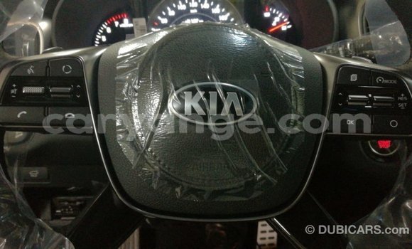 Buy Import Kia Sorento Brown Car in Import - Dubai in Namibia Buy Import Kia Sorento Brown Car in Import - Dubai in Namibia