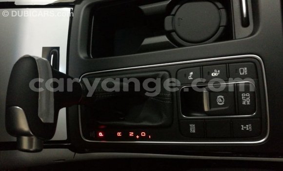 Buy Import Kia Sorento Brown Car in Import - Dubai in Namibia Buy Import Kia Sorento Brown Car in Import - Dubai in Namibia