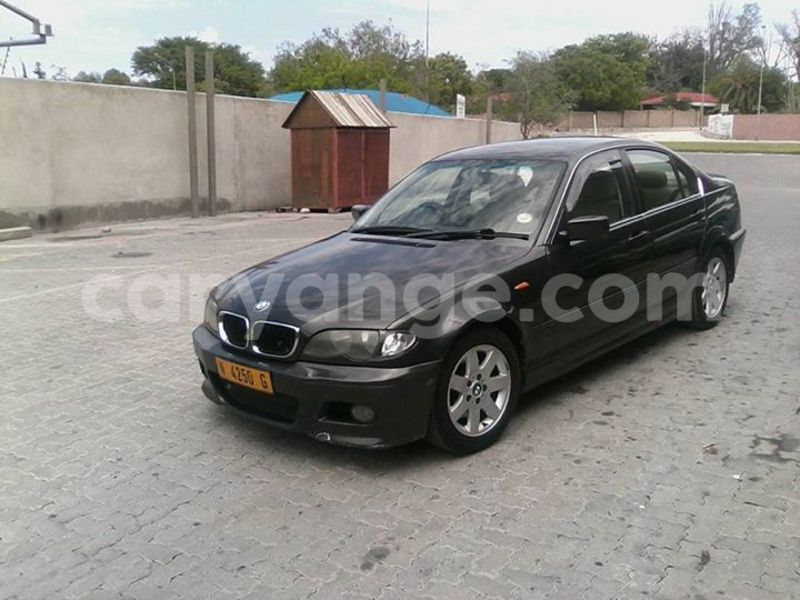 Big with watermark 14322753 152041765249206 4084601271133145777 n