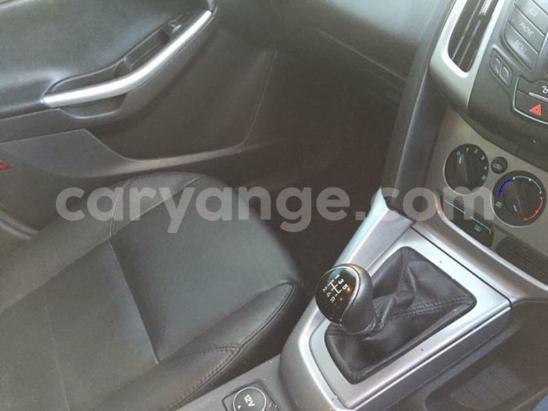 Big with watermark 15193692 10209545803314802 5799860183636373079 n