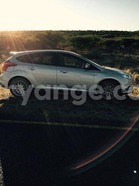 Big with watermark 15181403 10209545803154798 1860562715874211011 n