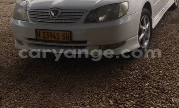 Buy Used Toyota Runx White Car in Windhoek in Namibia Buy Used Toyota Runx White Car in Windhoek in Namibia
