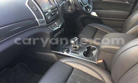 Buy Used Haval H9 Other Car in Bethanien in Karas Buy Used Haval H9 Other Car in Bethanien in Karas