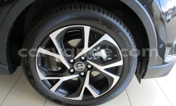 Buy Used Toyota C-HR Other Car in Gobabis in Omaheke Buy Used Toyota C-HR Other Car in Gobabis in Omaheke
