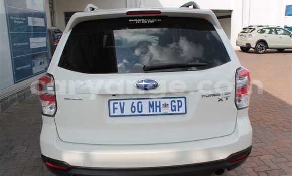 Buy Used Subaru Forester White Car in Gobabis in Omaheke Buy Used Subaru Forester White Car in Gobabis in Omaheke