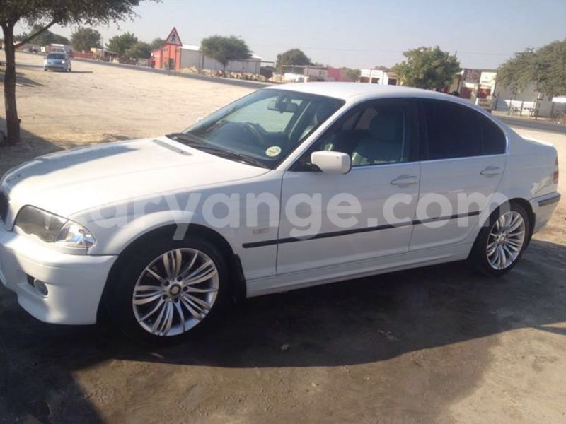 Big with watermark 14572839 1276538899057194 7605807282165903254 n