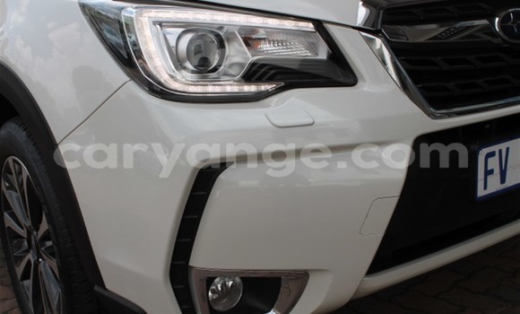 Buy Used Subaru Forester White Car in Gobabis in Omaheke Buy Used Subaru Forester White Car in Gobabis in Omaheke