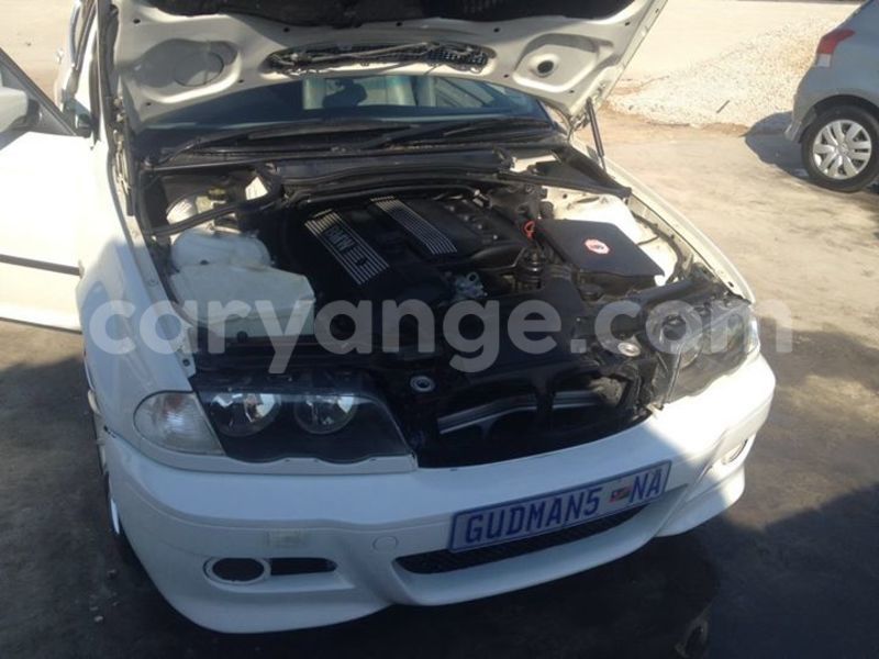 Big with watermark 14695326 1276538865723864 3907257530309395993 n