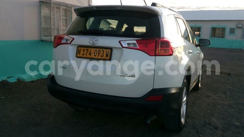 Big with watermark 14695326 1276538865723864 3907257530309395993 n