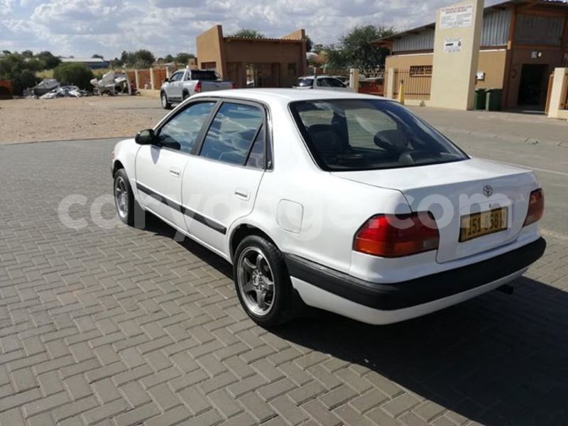 Big with watermark 60216472 1141324812730094 4875246076661071872 n